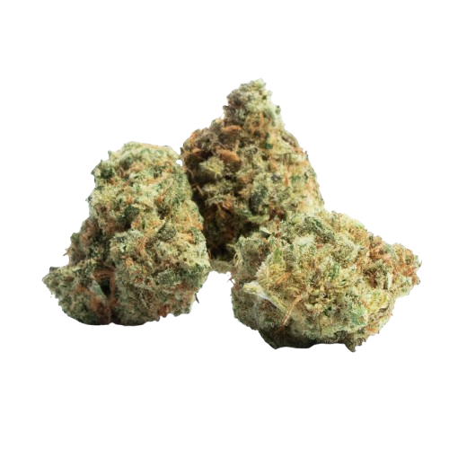 Black Cherry Gelato