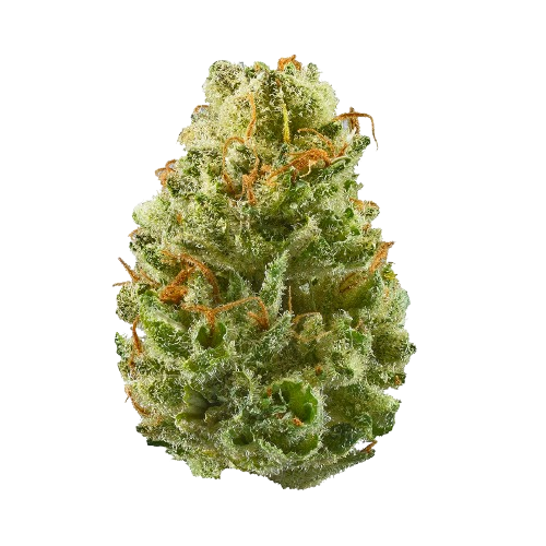 Strawberry Cough
