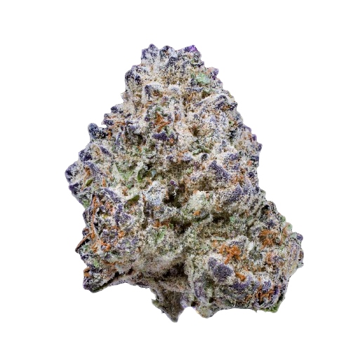 Slurricane